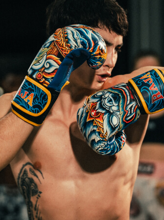 boxer
